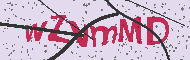 Code captcha